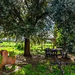 Le Gerlette - La Stalla Farm stay Braccagni